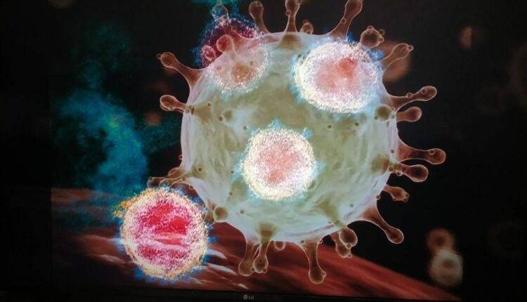 Ученые установили, как коронавирус попадает в организм - newtvnews.ru