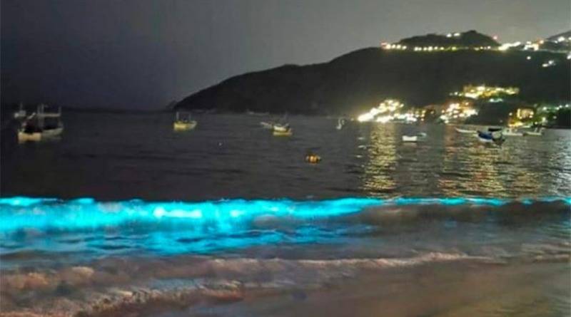 Впервые за 60 лет: волны на Тихоокеанском побережье засветились ярко-голубым светом (фото) - usa.one - Мексика