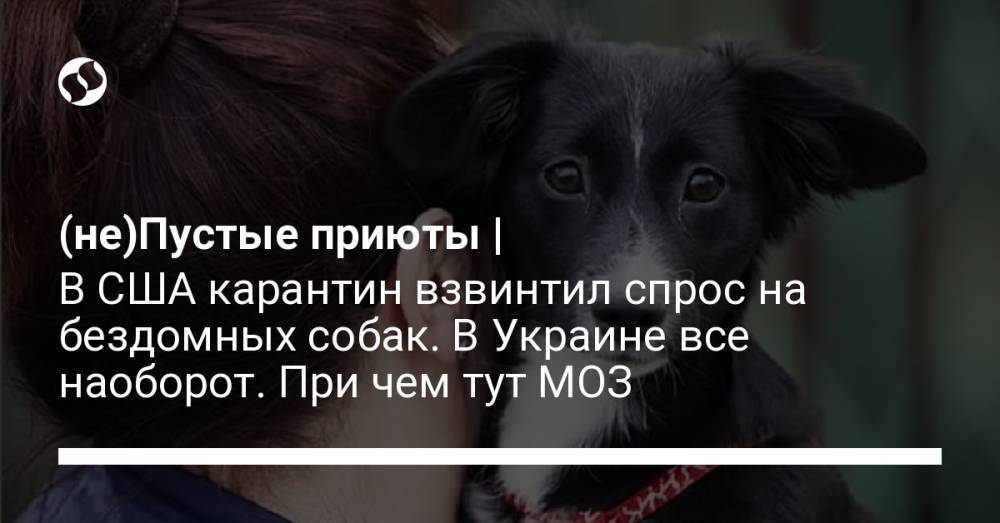 (не)Пустые приюты | В США карантин взвинтил спрос на бездомных собак. В Украине все наоборот. При чем тут МОЗ - liga.net - Украина - Сша