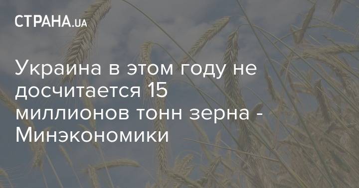 Украина в этом году не досчитается 15 миллионов тонн зерна - Минэкономики - strana.ua - Украина