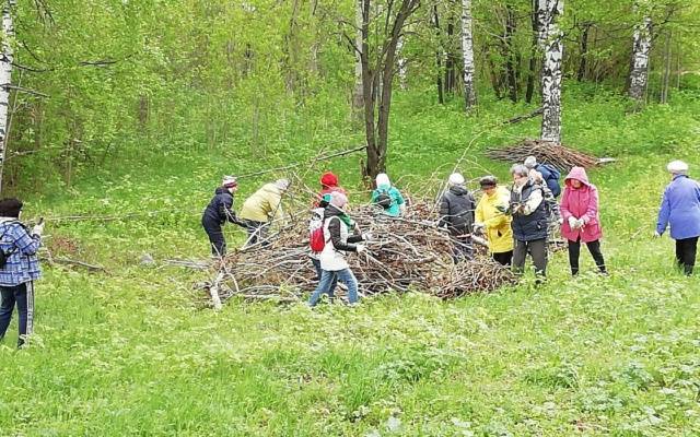 Девять жителей Глазова, потерявших работу, сейчас трудятся в рамках «Генеральной уборки» - gorodglazov.com - республика Удмуртия