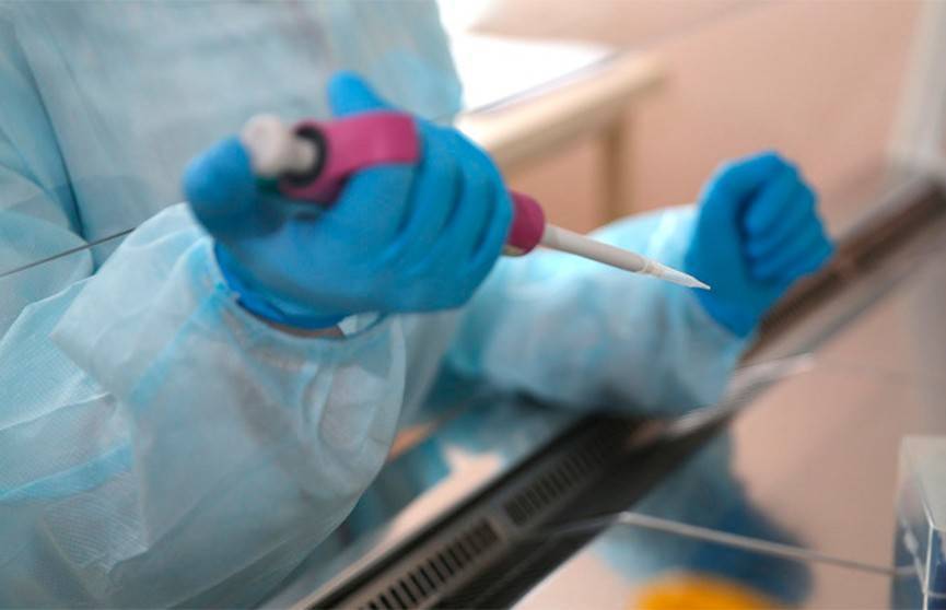Белорусское общество лабораторной медицины получило реагенты на изготовление 30 тыс. тестов на COVID-19 - ont.by