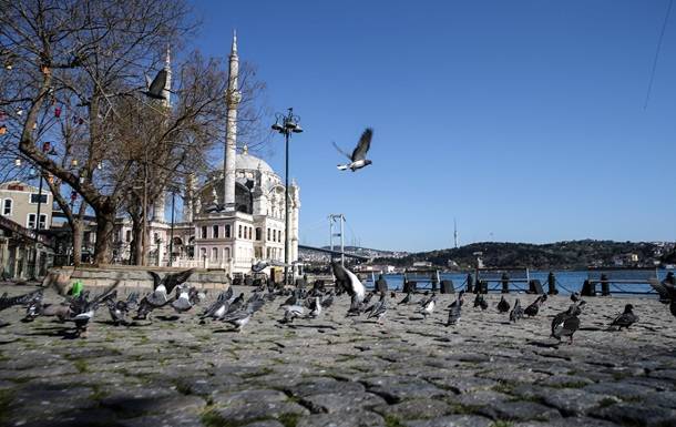 В Босфоре появились дельфины - korrespondent.net - Турция - Стамбул - Istanbul