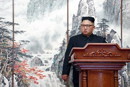 Ким Ченын - Ким Чемын - Стала известна причина предсмертного состояния Ким Чен Ына - lenta.ru - Китай - Япония - Пекин - Кндр