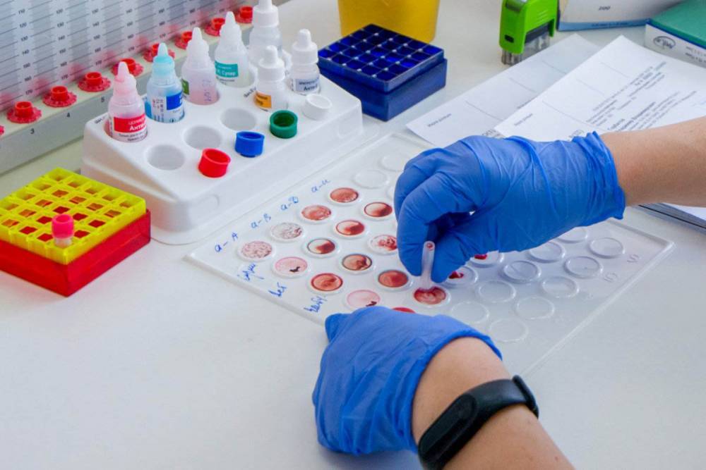 Более 2,8 миллиона тестов на коронавирус провели в России - vm.ru - Россия