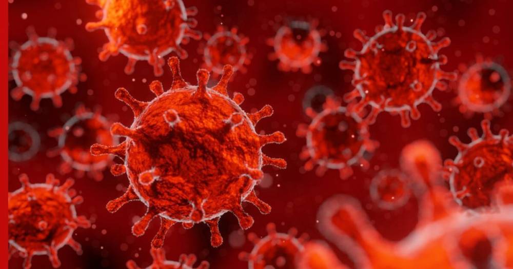 Ученые обнаружили в организме человека «точки входа» для коронавируса - profile.ru