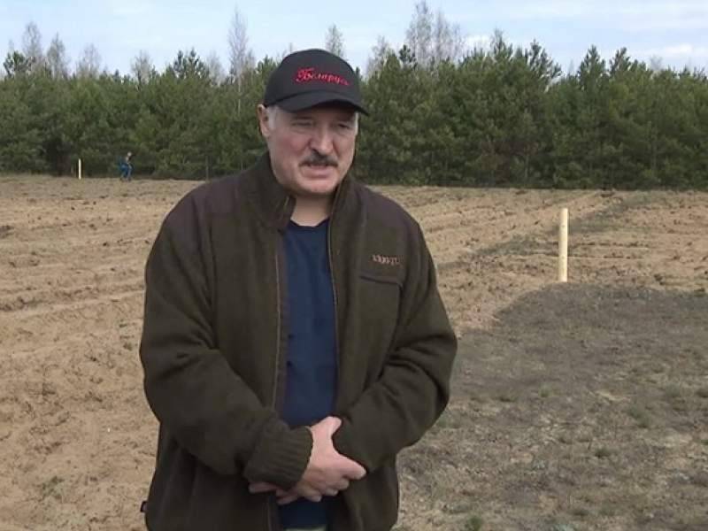 Александр Лукашенко - Лукашенко возглавил республиканский субботник в разгар эпидемии коронавируса - dayonline.ru - Белоруссия