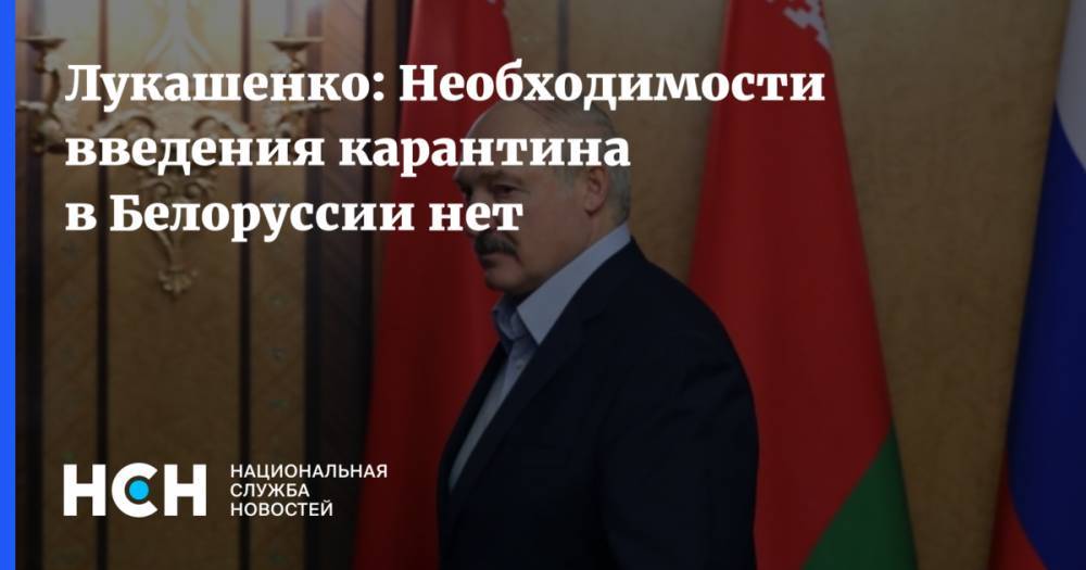 Александр Лукашенко - Лукашенко: Необходимости введения карантина в Белоруссии нет - nsn.fm - Белоруссия