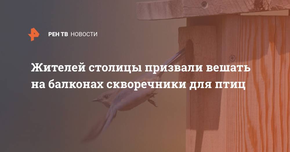 Николай Кудрявцев - Жителей столицы призвали вешать на балконах скворечники для птиц - ren.tv
