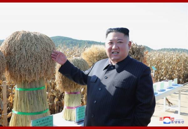 Ким Ченын - СМИ: Ким Чен Ын работает над документами - nakanune.ru - Кндр - Пхеньян