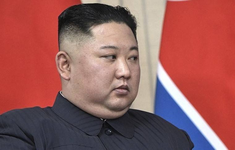Ким Ченын - Правозащитница заявила о боязни Ким Чен Ына заразиться коронавирусом - news.ru