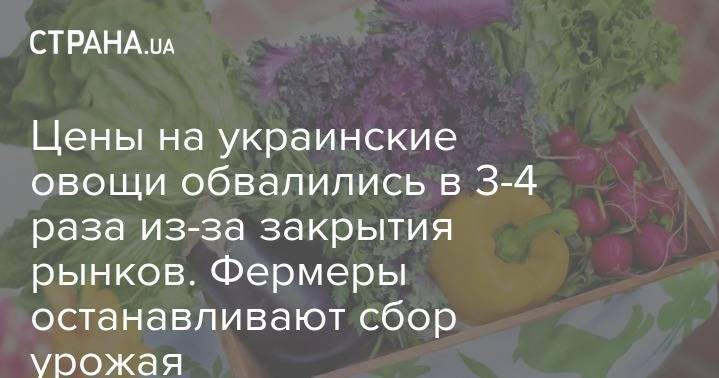 Цены на украинские овощи обвалились в 3-4 раза из-за закрытия рынков. Фермеры останавливают сбор урожая - strana.ua - Херсон