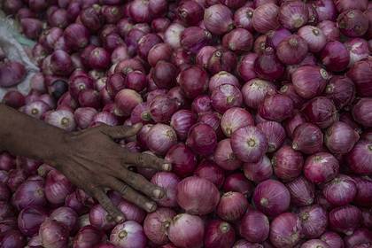 Мужчина купил 28 тонн лука ради возвращения домой во время карантина - lenta.ru - Индия - Мумбаи - Аллахабад