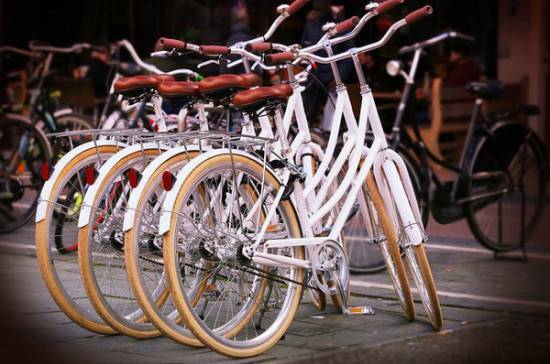 Петербургским волонтёрам могут предоставить бесплатные велосипеды - pnp.ru