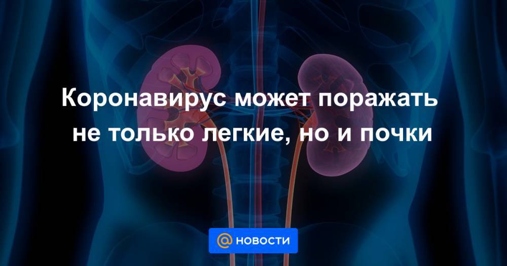 Коронавирус может поражать не только легкие, но и почки - news.mail.ru - Сша - Китай
