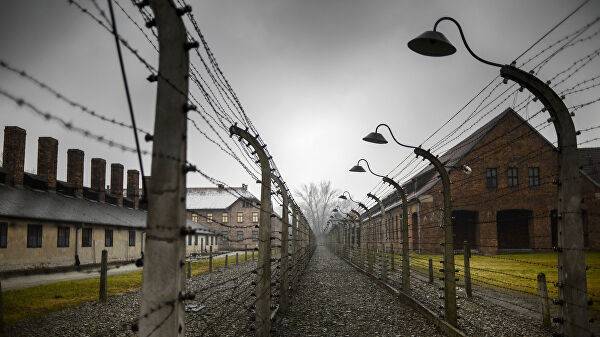 Один из последних узников Освенцима умер от коронавируса - newtvnews.ru - Брюссель - Brussels