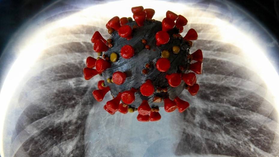 Эксперты спрогнозировали завершение эпидемии коронавируса в России - dp.ru - Россия - Сша - Сингапур