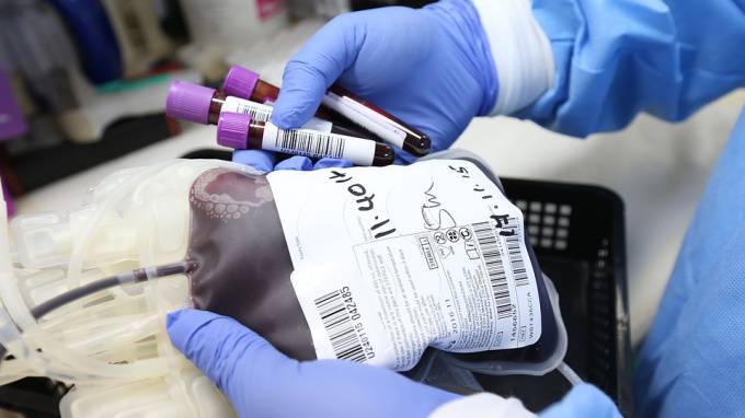 В Петербурге создадут базу доноров крови, которые переболели COVID-19 - piter.tv - Санкт-Петербург