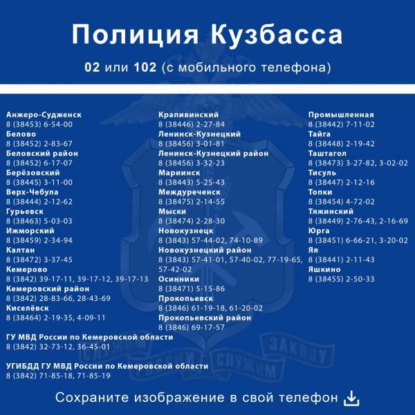 В полиции Кузбасса рассказали, как обращаться в МВД во время распространения коронавируса - gazeta.a42.ru - Кемеровская обл.