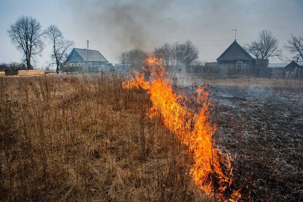 Владимир Путин - Путин согласился усилить наказание за поджоги после вырубки леса - tvc.ru - Россия