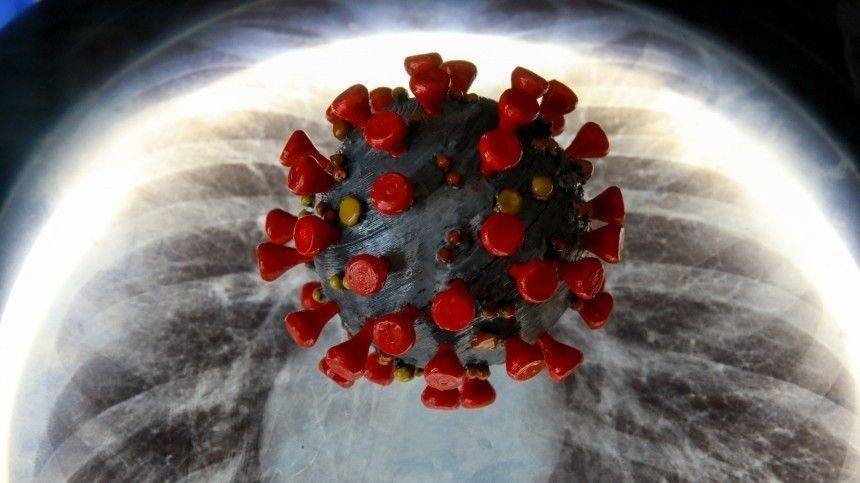 Валерий Вечорко - Экспресс-тесты на коронавирус выявляют наличие антител за 15 минут - 5-tv.ru - Москва