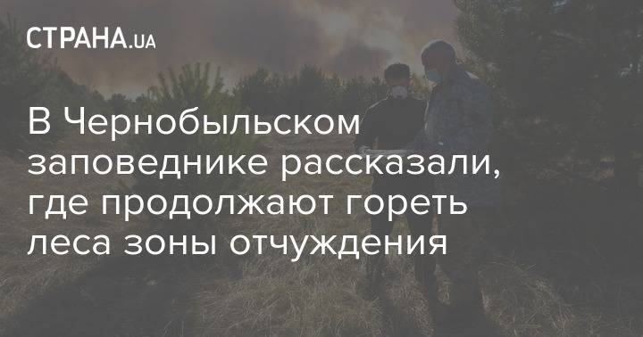 В Чернобыльском заповеднике рассказали, где продолжают гореть леса зоны отчуждения - strana.ua - Украина