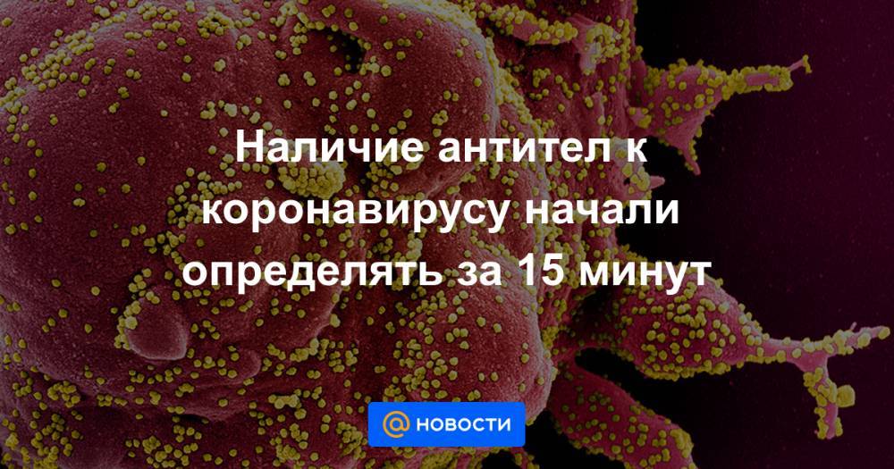 Наличие антител к коронавирусу начали определять за 15 минут - news.mail.ru