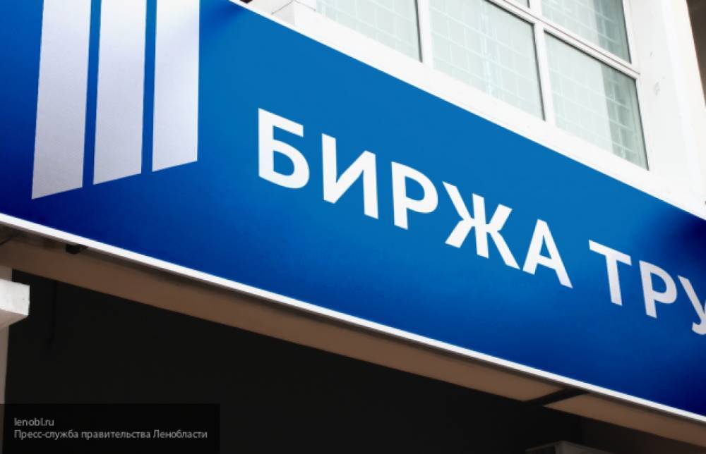 ПФР дал опровержение о некорректном взаимодействии с биржей труда - nation-news.ru - Россия