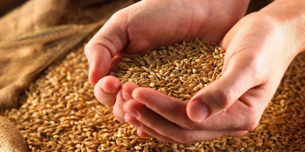Bloomberg прогнозирует дефицит российской пшеницы в мире - ruposters.ru - Россия
