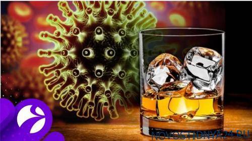 В Интернете распространяют фейк про алкоголь и коронавирус - novostidnya24.ru