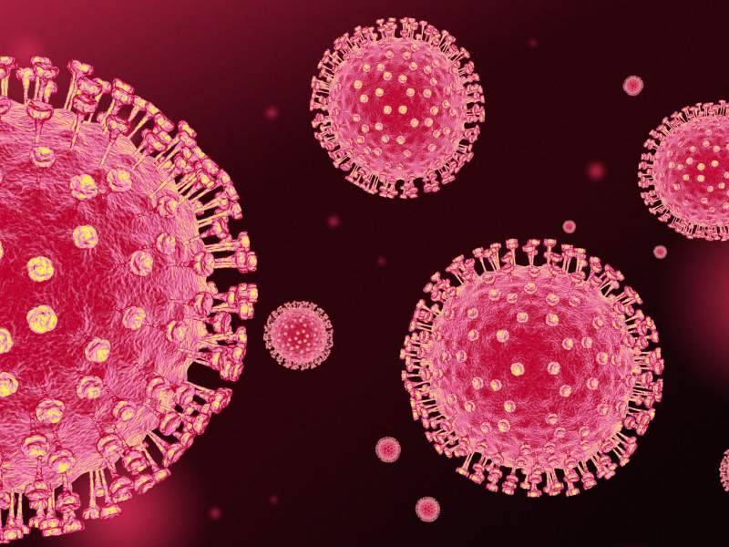 Названы симптомы, при которых коронавирус переносится легко - dayonline.ru - Сша - Сан-Диего