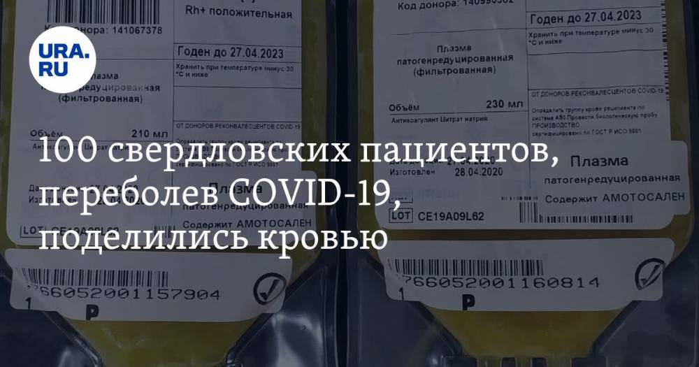 Евгений Куйвашев - 100 свердловских пациентов, переболев COVID-19, поделились кровью. Инсайд «URA.RU» подтвердился - ura.news - Свердловская обл.
