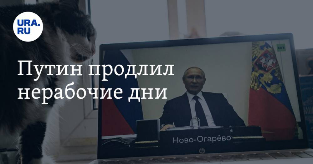 Владимир Путин - Путин продлил нерабочие дни - ura.news - Россия