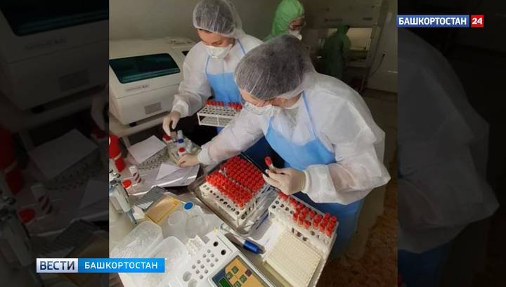 Андрей Назаров - В Башкирии начнется производство вакцины от COVID-19 - vesti.ru - республика Башкирия