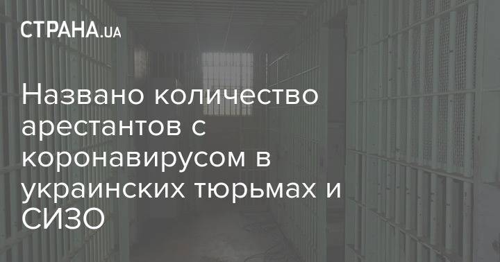 Названо количество арестантов с коронавирусом в украинских тюрьмах и СИЗО - strana.ua