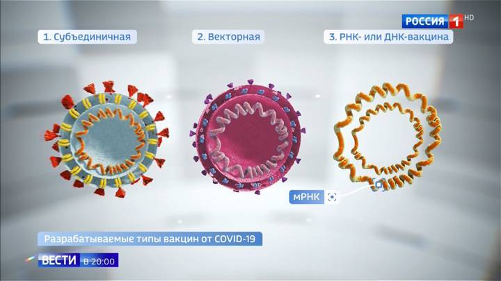 Гонка, в которой не будет победителя: Россия и ряд стран работают над вакциной от вируса - vesti.ru - Россия