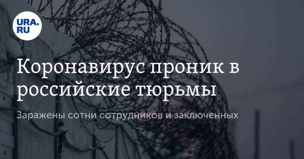 Коронавирус проник в российские тюрьмы. Заражены сотни сотрудников и заключенных - ura.news