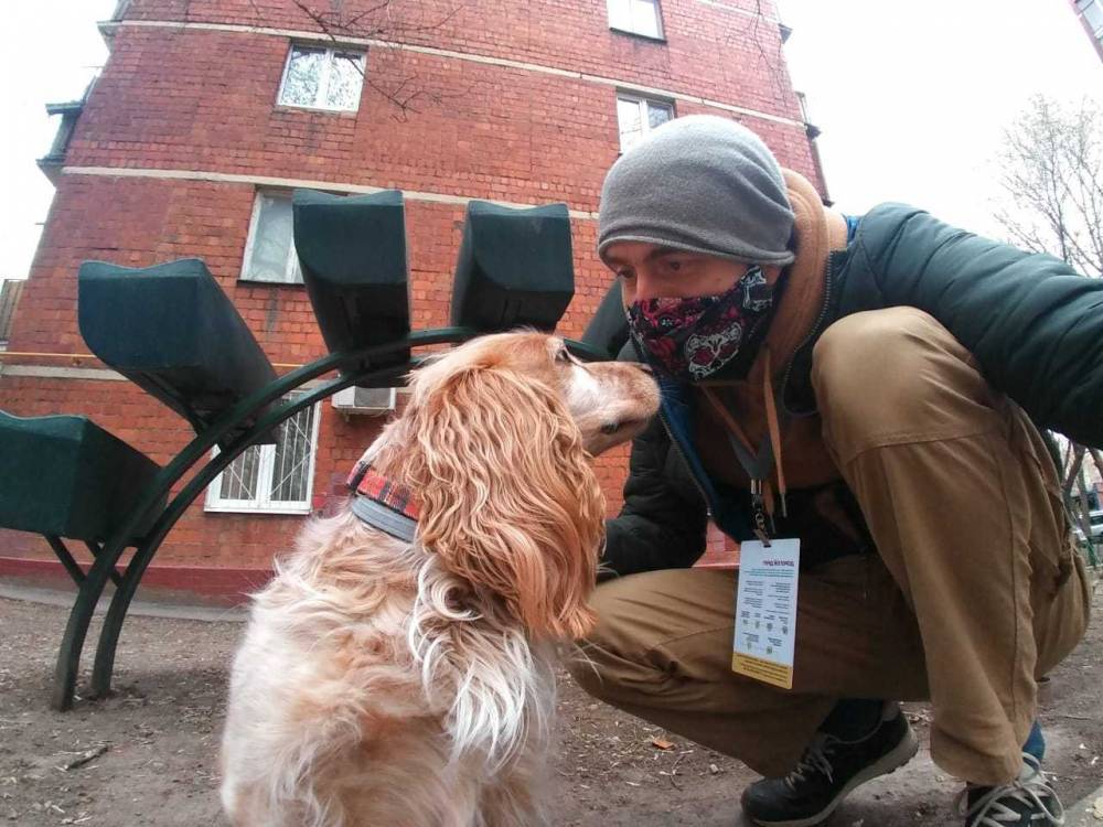 Столичные волонтеры присоединились к проекту «Погуляем с вашей собакой» - vm.ru