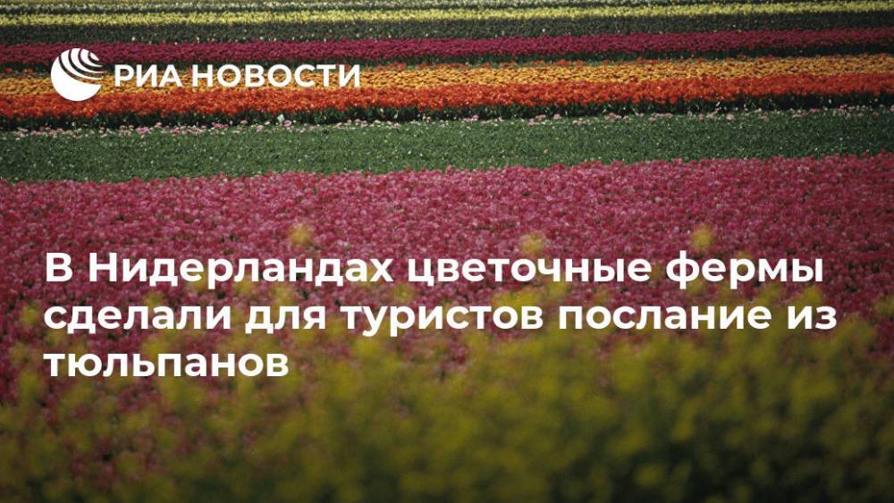 В Нидерландах цветочные фермы сделали для туристов послание из тюльпанов - ria.ru - Москва - Голландия