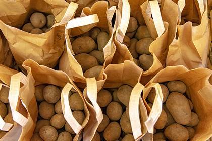 Европейцев попросили есть больше картошки из-за коронавируса - lenta.ru - Бельгия