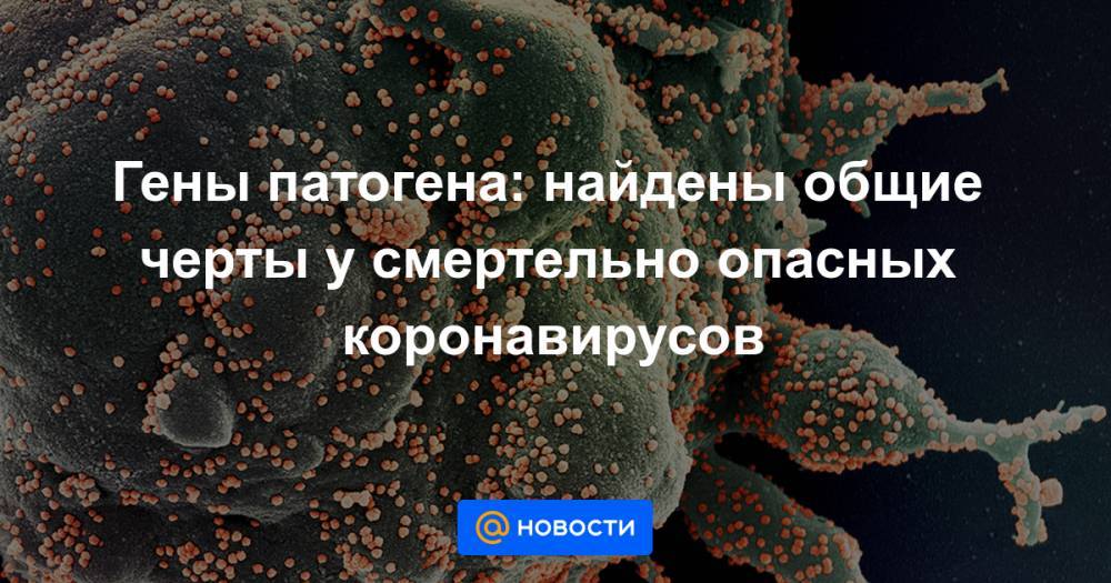 Гены патогена: найдены общие черты у смертельно опасных коронавирусов - news.mail.ru