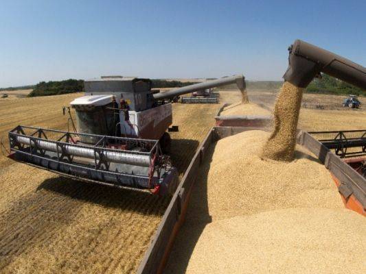 La Croix: Мировому рынку грозит дефицит зерна из России, оно дороже нефти - eadaily.com - Россия