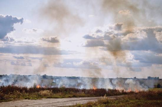 Сергей Аноприенко - В Рослесхозе заявили, что самоизоляция негативно повлияла на ситуацию с лесными пожарами - pnp.ru