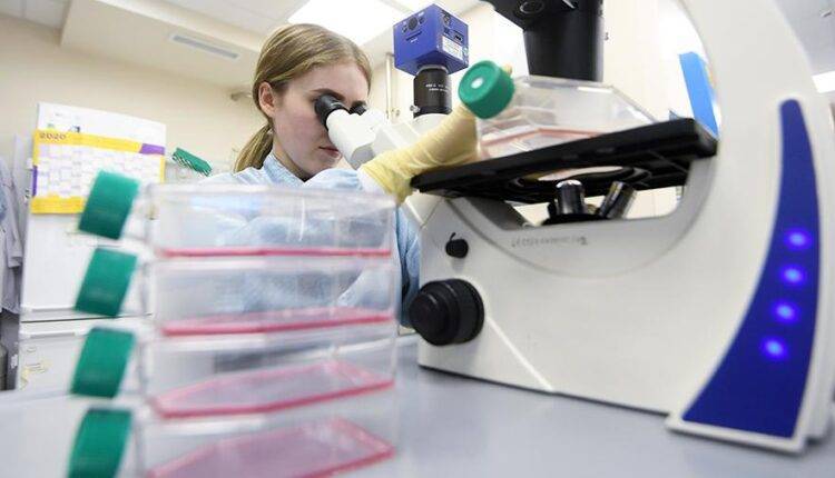 ​Опорные лаборатории начали испытание российской медицинской продукции для борьбы с COVID-19​ - newtvnews.ru - Россия