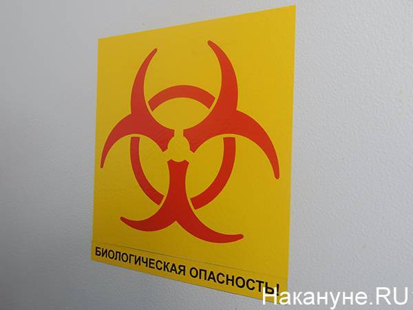 В Курганской области выявили пять новых случаев заражения COVID-19 - nakanune.ru - Курганская обл.