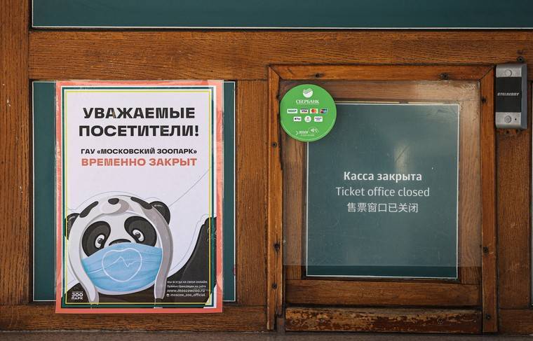 Кабмин включил зоопарки и цирки в перечень пострадавших от пандемии - news.ru - Россия
