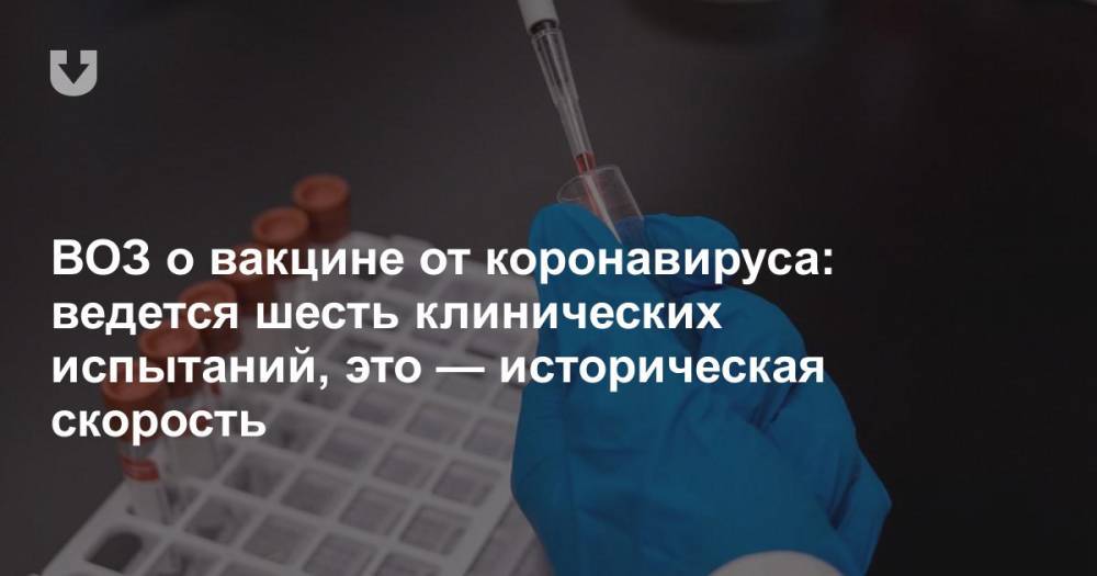 Ханс Клюге - ВОЗ о вакцине от коронавируса: ведется шесть клинических испытаний, это — историческая скорость - news.tut.by - Россия