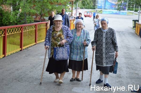 Пенсионеры и маломобильные граждане в Зауралье могут попросить волонтеров купить продукты, лекарства и оплатить услуги ЖКХ - nakanune.ru