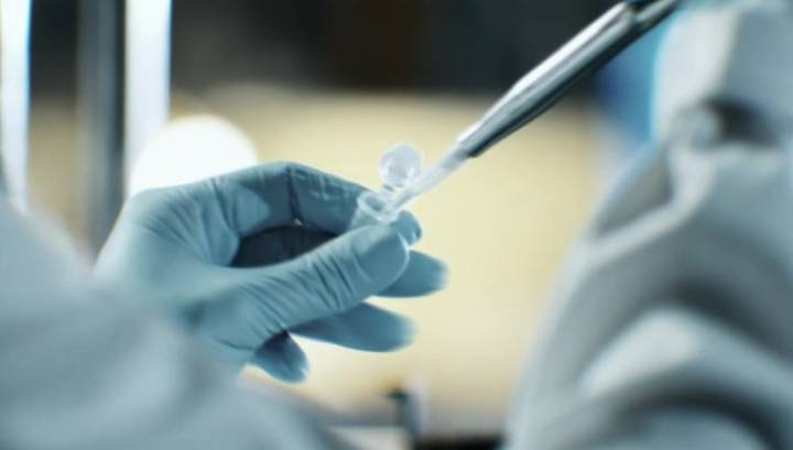 Эффективное ограничение: ВОЗ посчитала спасенные от коронавируса жизни - vesti.ru