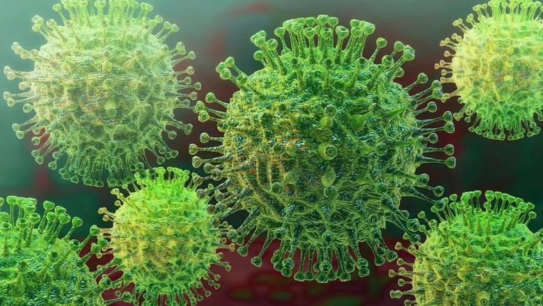 В Австралии заявили, что в мире коронавирусом заразились до 10 миллионов человек - newizv.ru - Австралия